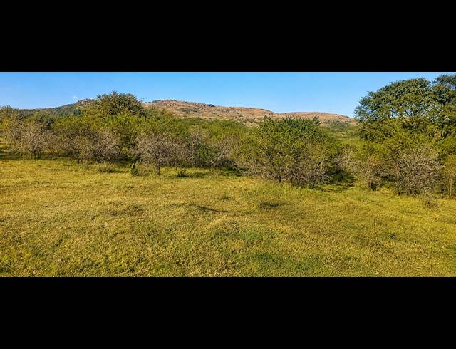14.80HA FARM FOR SALE IN BLESBOKLAAGTE
